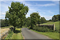 SE2357 : Barse Beck Lane near West Syke Green Farm by Mark Anderson