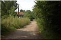 Bridleway towards Cherry Orchard farm and Hawk