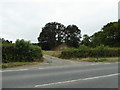 Old castle motte beside the road