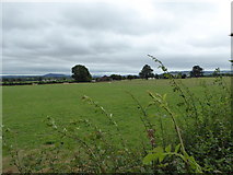 SJ1901 : View across fields from the Montgomeryshire Canal by Jeremy Bolwell