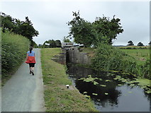 SJ1901 : Walking the towpath of the Montgomeryshire Canal at Berriew Lock by Jeremy Bolwell