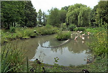 TQ4815 : Lake at Bentley Wildfowl and Motor Museum by PAUL FARMER