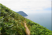 SS7349 : South West Coast Path on Countisbury Hill by Bill Boaden