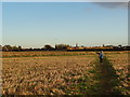 Footpath West Butterwick