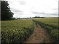 Bridleway towards Shortwood Farm