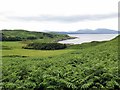 NM8129 : Land above Slatrach Bay, Kerrera by Andrew Curtis