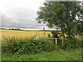 Footpath towards Leyfields Farm