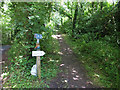 Path from Gwendreath Farm to Kennack Sands