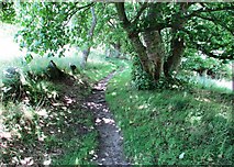NO1801 : Path to Bishop Hill, Lomond Hills by Bill Kasman