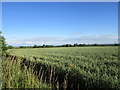 View towards Upton