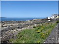 Coastal rocks off Seacliff Road