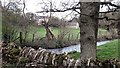 Downstream from Radford Bridge