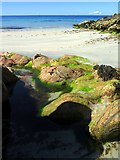 NM0147 : Seaweed and rocks, Traigh Bheag, Balephetrish by Andrew Curtis