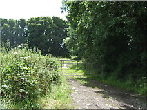 SW7116 : Gated farm track, Tresaddern  by JThomas