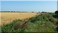 Fields near Formby