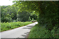 Cornwall : Country Lane