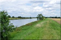 SK8274 : Floodbank beside River Trent by Russel Wills