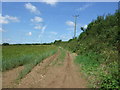 Farm track near Gweek