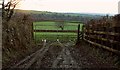 Gate and field near Whitecross