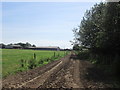 Approaching Moss End Farm