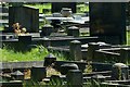 Light and shade, Heanor Cemetery