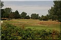 Sunbury Golf Course