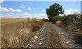 Farm track near Lodge Farm