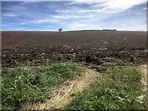 SU5131 : Ploughed Field near Easton by David Dixon