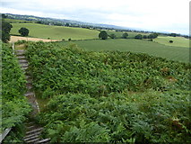 SJ2931 : Old Oswestry Hill Fort by Eirian Evans