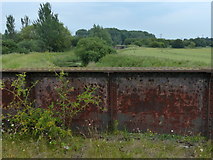 TF6217 : Disused railway bridge over the River Nar by Mat Fascione