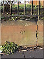 Bench mark in West Derby Road outside Grant Gardens