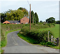 Lane north of Marbury in Cheshire