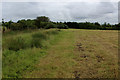 Path to Whalley Old Road