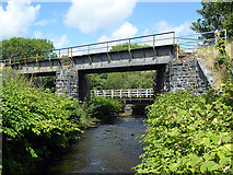 SH4437 : Bridges across Afon Wen by John Lucas