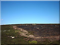 NY9452 : Line of shooting butts, Blanchland Moor by Karl and Ali
