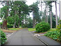 Driveway into Stratford Park, Stroud