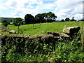 Remains of a dry stone wall, Barravey