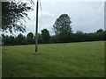 Grazing near the M5 Motorway