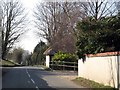 The road to Sutton Scotney