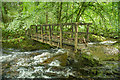 Footbridge over the Lyd