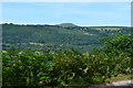 View towards Sugar Loaf across the Usk Valley