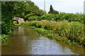 Monmouthshire and Brecon Canal near bridge No. 68