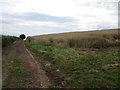 Farm track off Gorsy Lane