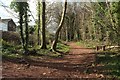 Path, Manscombe Plantation