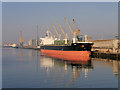 J3576 : Belfast Harbour, Stormont Wharf North by David Dixon