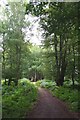 Permissive Bridleway Near Woodridden Hill