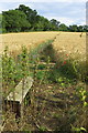 Footpath towards Stocking Farm