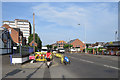 Midsummer morning on Radcliffe Road