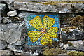 Mosaic in drystone wall near Hawes