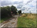 Level Crossing on Hatfield Lane